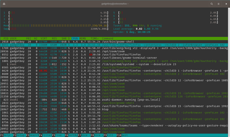 HTOP on my System76 Lemur Pro